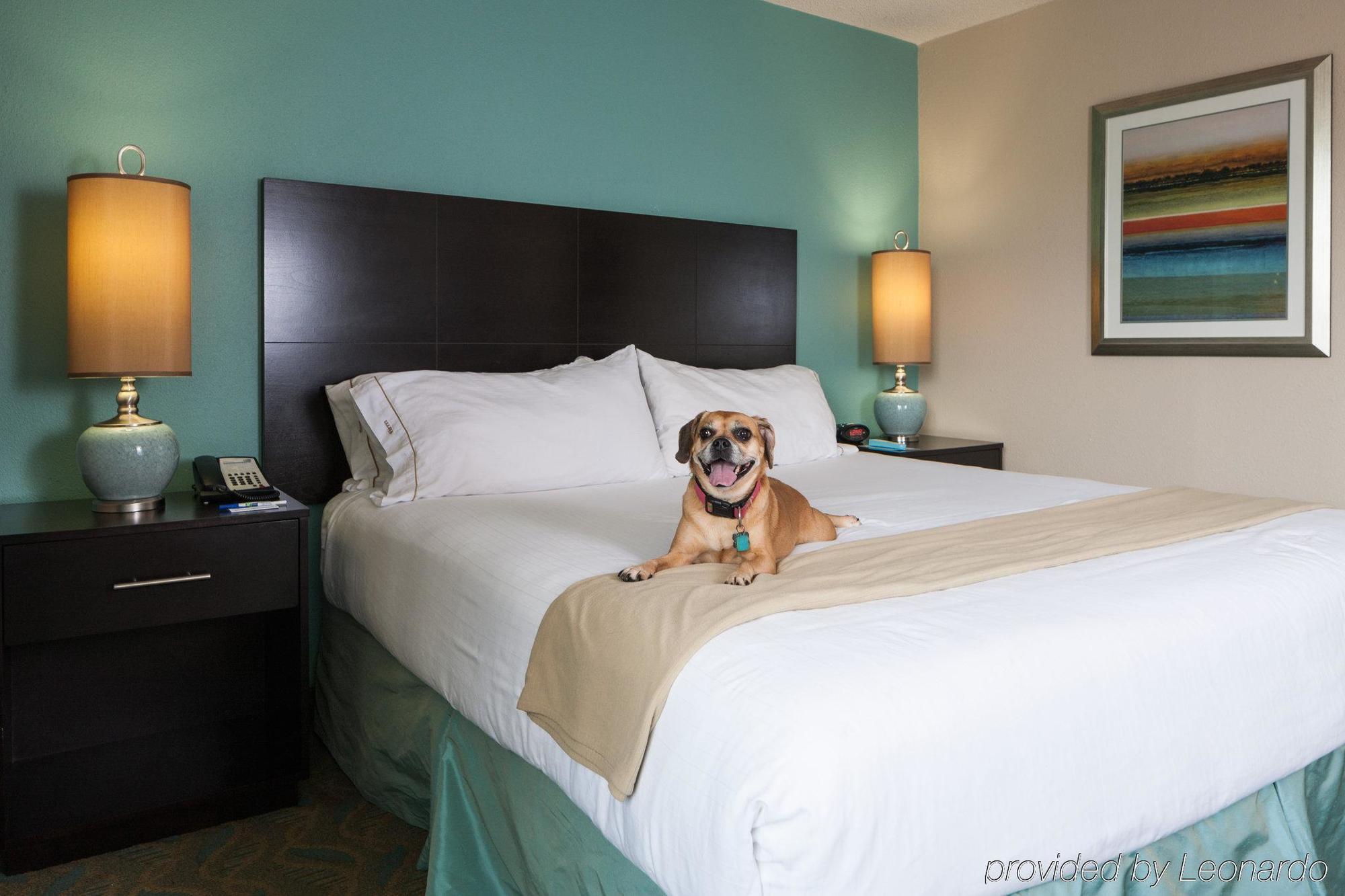 Holiday Inn Express & Suites Charleston Dwtn -Westedge By Ihg Exteriör bild